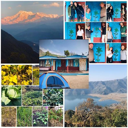 Hom'S Homestay & Farmstay Sarangkot โพคารา ภายนอก รูปภาพ