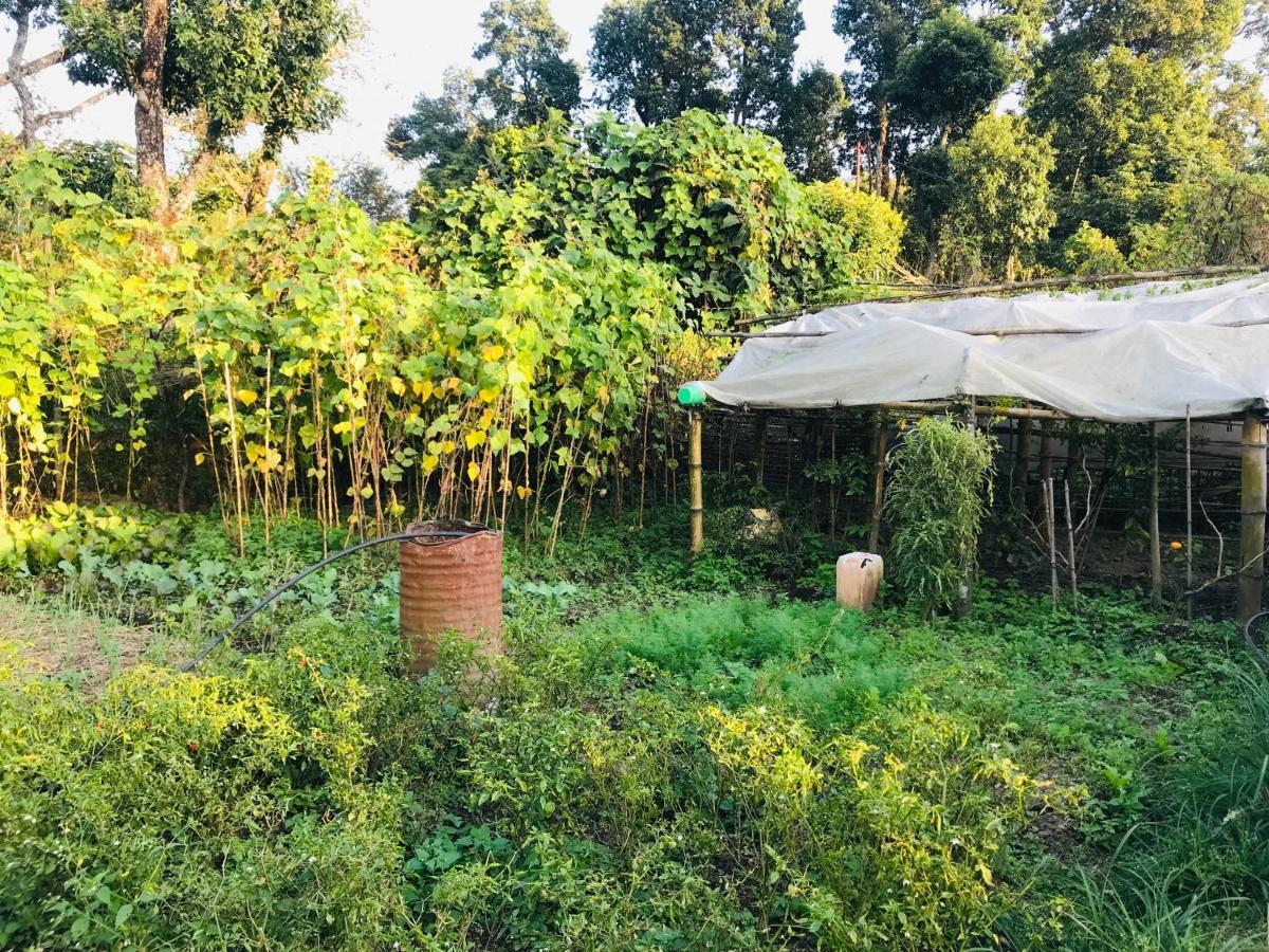 Hom'S Homestay & Farmstay Sarangkot โพคารา ภายนอก รูปภาพ