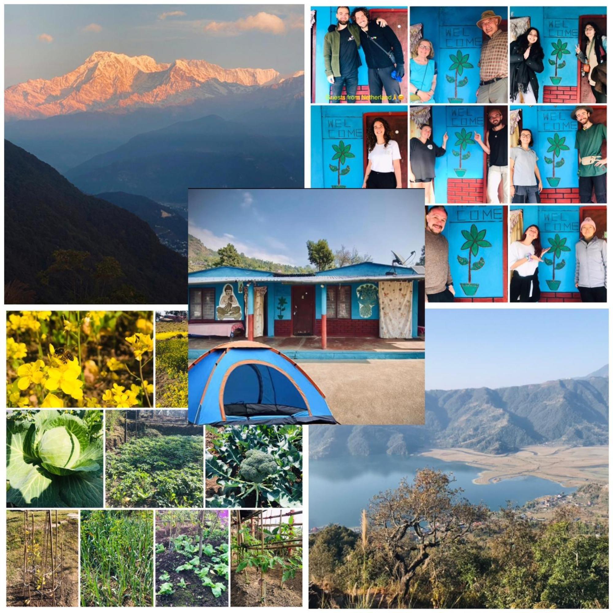 Hom'S Homestay & Farmstay Sarangkot โพคารา ภายนอก รูปภาพ